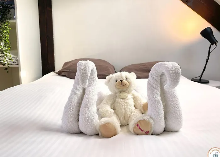 Apartment Le Duplex - Parking - Vue Clochers - Tennis Rouen