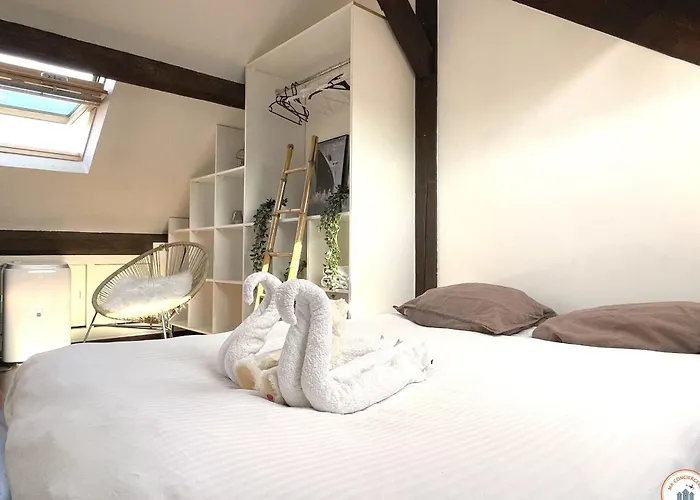 Le Duplex - Parking - Vue Clochers - Tennis * Rouen